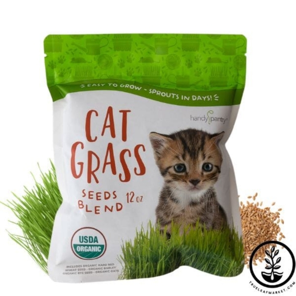 NEW IN BOX Deluxe Cat Grass Kit - With Wooden Planter - Picture 5 of 7